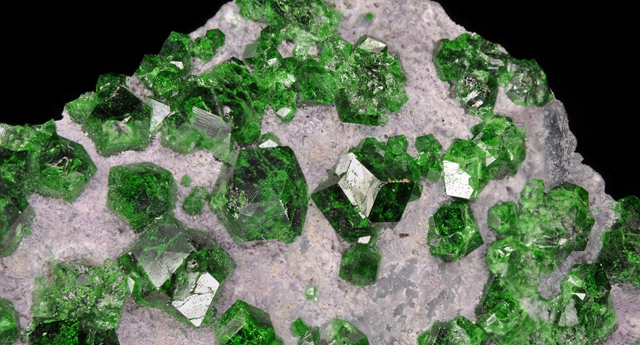 cristaux de grenat var. uvarovite : Saranovskii Mine (Saranovsko