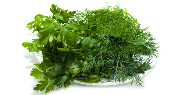 Parsley and fennel on a plate